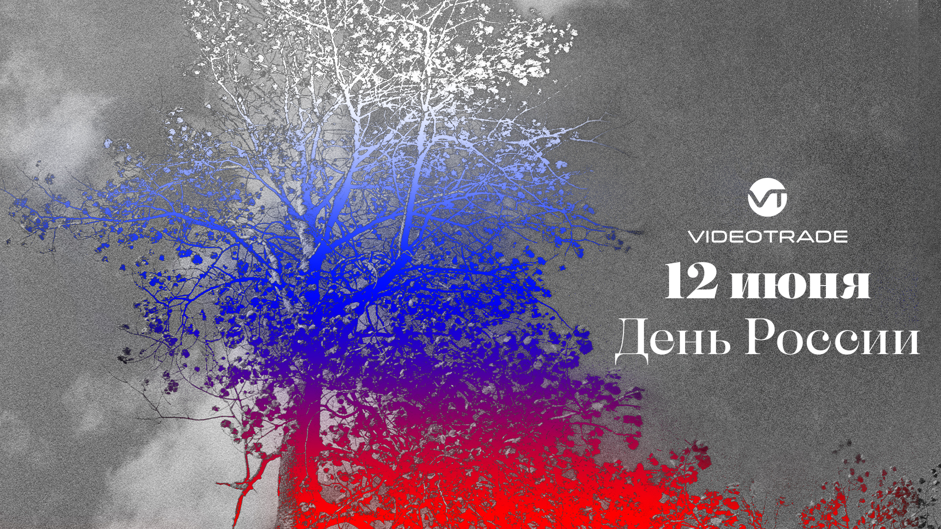 Галерея VideoTrade — изображение 73