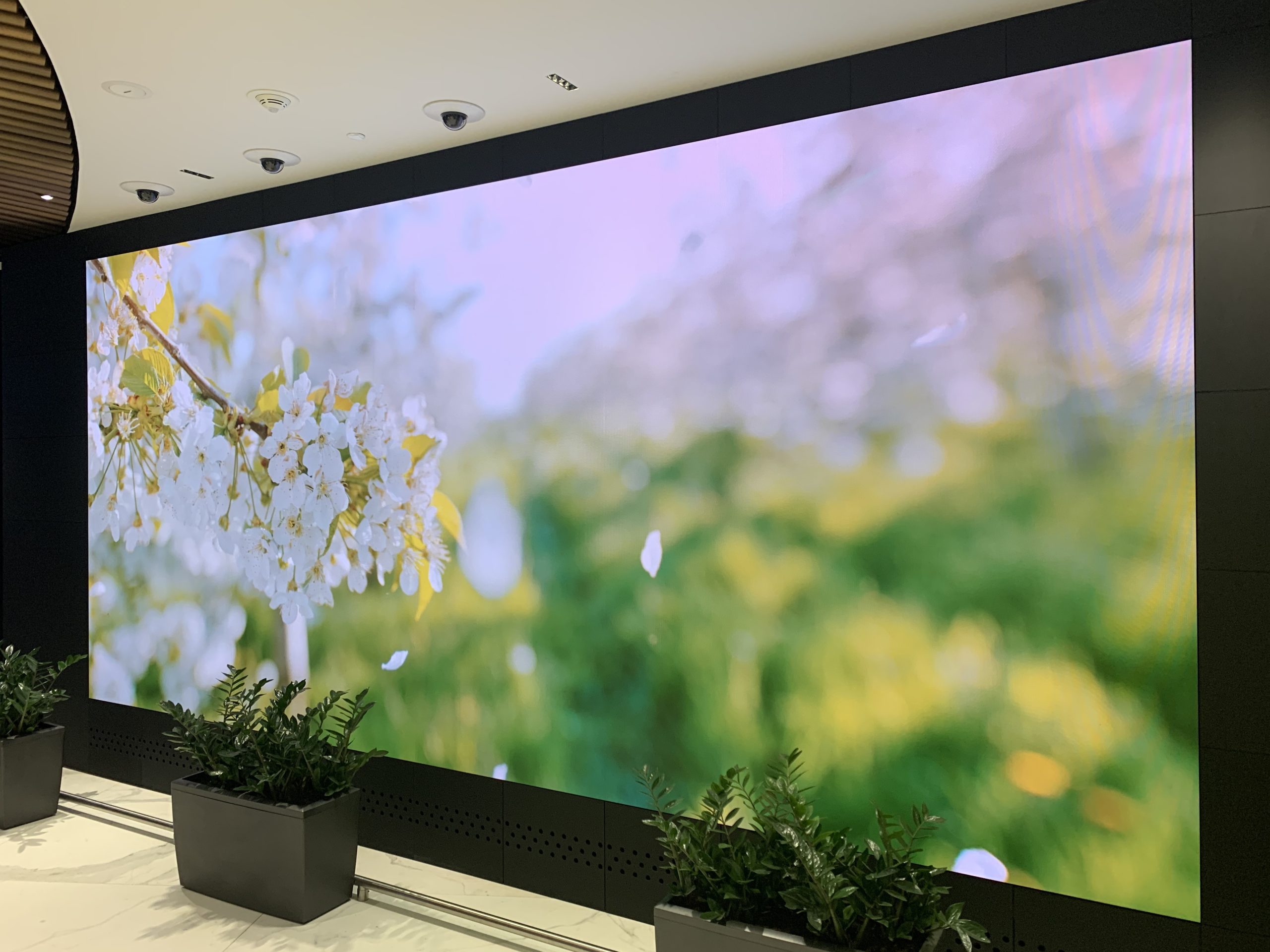 Галерея VideoTrade — изображение 80